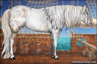 Horse Color:Gray Nacre Silver Amber Cream Champagne Splash Tobiano Frame Near Leopard 
