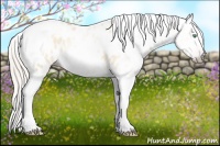 Horse Color:Gray Silver Amber Cream Champagne Roan Dun Splash Tobiano Frame Near Leopard Rabicano 