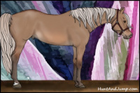 Horse Color:Silver Bay Dun 