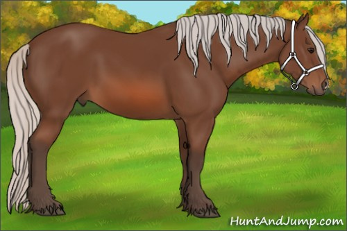 Horse Color:Silver Bay