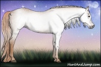 Horse Color:Gray Chestnut  Brindle
