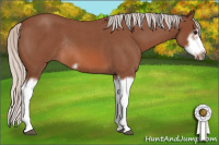 Horse Color:Silver Bay Roan Splash Frame Rabicano