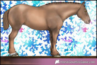 Horse Color:Gold Champagne 