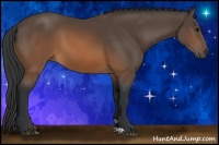 Horse Color:Brown 