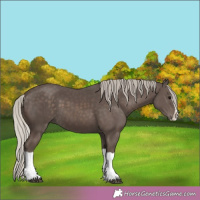 Horse Color:Silver Black Splash 