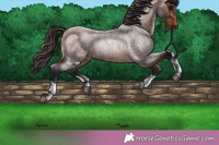 Horse Color:Brown Roan Rabicano  and Brown Roan Rabicano 