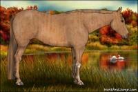 Horse Color:Bay  Brindle