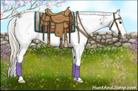Horse Color:Silver Grullo Sabino Splash 