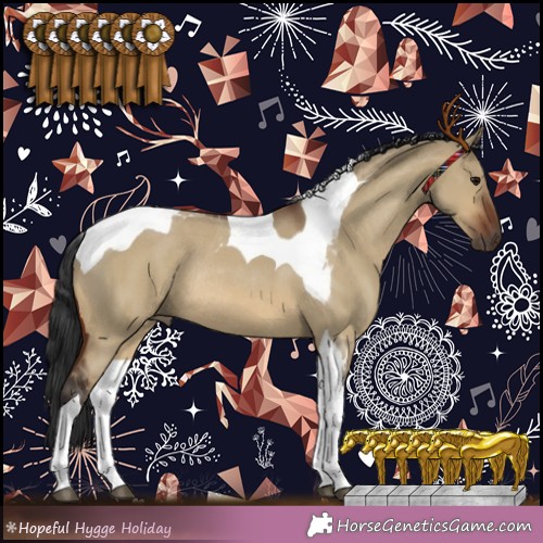 Horse Color:Brown Roan Dun Tobiano Rabicano 