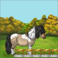 Horse Color:Brown Roan Dun Tobiano Rabicano 