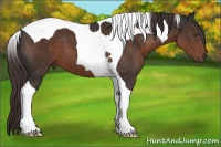Horse Color:Liver Chestnut Tobiano 