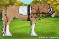 Horse Color:Chestnut Splash 