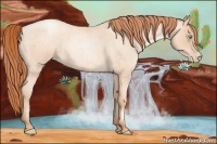 Horse Color:Amber Champagne Roan Pearl 