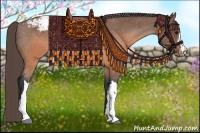 Horse Color:Brown Mushroom Appaloosa 