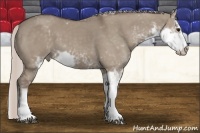 Horse Color:Silver Grullo Sabino 