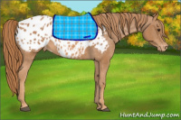 Horse Color:Chestnut Blanket 