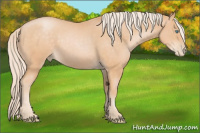 Horse Color:Chocolate Palomino Pearl