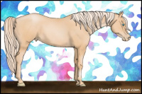 Horse Color:Chocolate Palomino Pearl