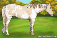 Horse Color:White Spotted Smoky Black Pearl 