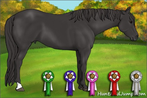 Horse Color: Smoky Black 