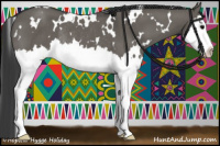 Horse Color:White Spotted Grullo Splash Rabicano