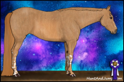 Horse Color: Chestnut  Brindle