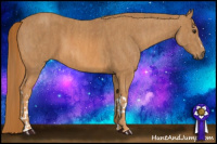 Horse Color:Chestnut  Brindle