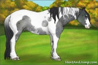 Horse Color:Black Sabino Tobiano 