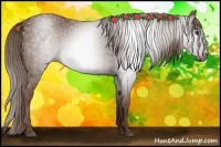 Horse Color:Gray Chestnut 