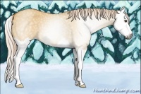 Horse Color:Gray Palomino Dun Splash