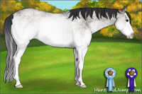 Horse Color:White Spotted Grullo Splash 