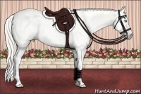 Horse Color:Gray Silver Amber Cream Champagne Roan Dun Splash Tobiano Frame Appaloosa Rabicano 