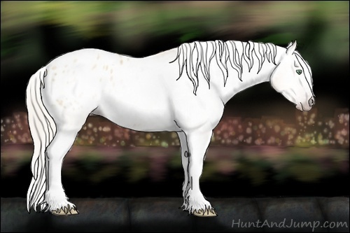 Horse Color:Gray Silver Amber Cream Champagne Roan Dun Splash Tobiano Frame Appaloosa Rabicano