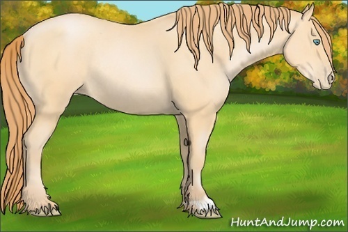 Horse Color:Buckskin Pearl Rabicano