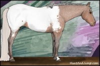 Horse Color:Silver Bay Near Fewspot 