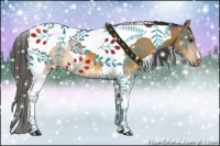 Horse Color:Buckskin Tobiano 