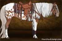 Horse Color:Silver Bay Tobiano Appaloosa 