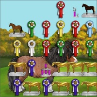 Horse Color:Bay Roan Splash Rabicano 