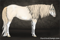 Horse Color:Buckskin Pearl Splash Frame 