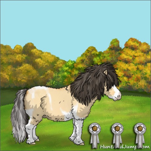 Horse Color: Buckskin Dun Splash Tobiano 