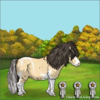 Horse Color:Buckskin Dun Splash Tobiano 