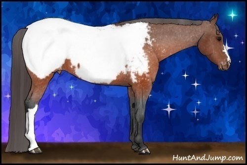 Horse Color:Brown Snowcap 