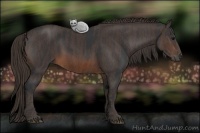 Horse Color:Brown Rabicano  Brindle