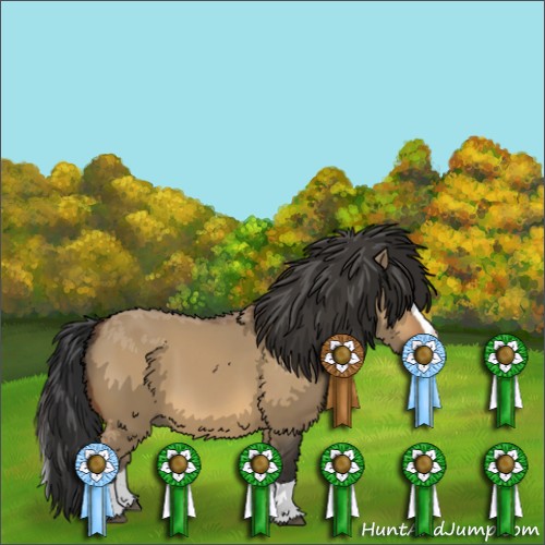 Horse Color: Buckskin Dun Splash 