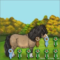 Horse Color:Buckskin Dun Splash 