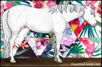 Horse Color:Gray Silver Amber Cream Champagne Roan Dun Splash Tobiano Frame Near Leopard Rabicano 