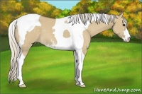 Horse Color:Silver Smoky Grullo Sabino Tobiano