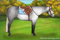 Horse Color:Gray Silver Black Sabino 