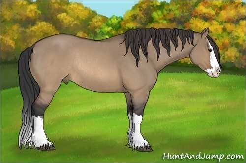 Horse Color:Brown Roan Dun Splash Rabicano