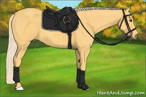 Horse Color:Palomino